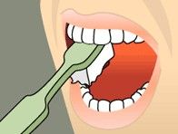 Green toothbrush brushing white teeth with open mouth in close-up illustration