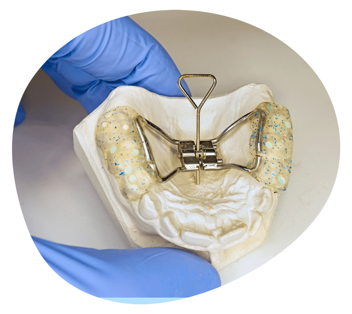 Dental Supplies & Equipment Launceston, TAS Everything Dental