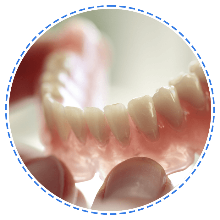 Dental Technician Holding a Denture — Launceston, TAS — Everything Dental Pty Ltd Dental Technician Holding a Denture — Launceston, TAS — Everything Dental Pty Ltd