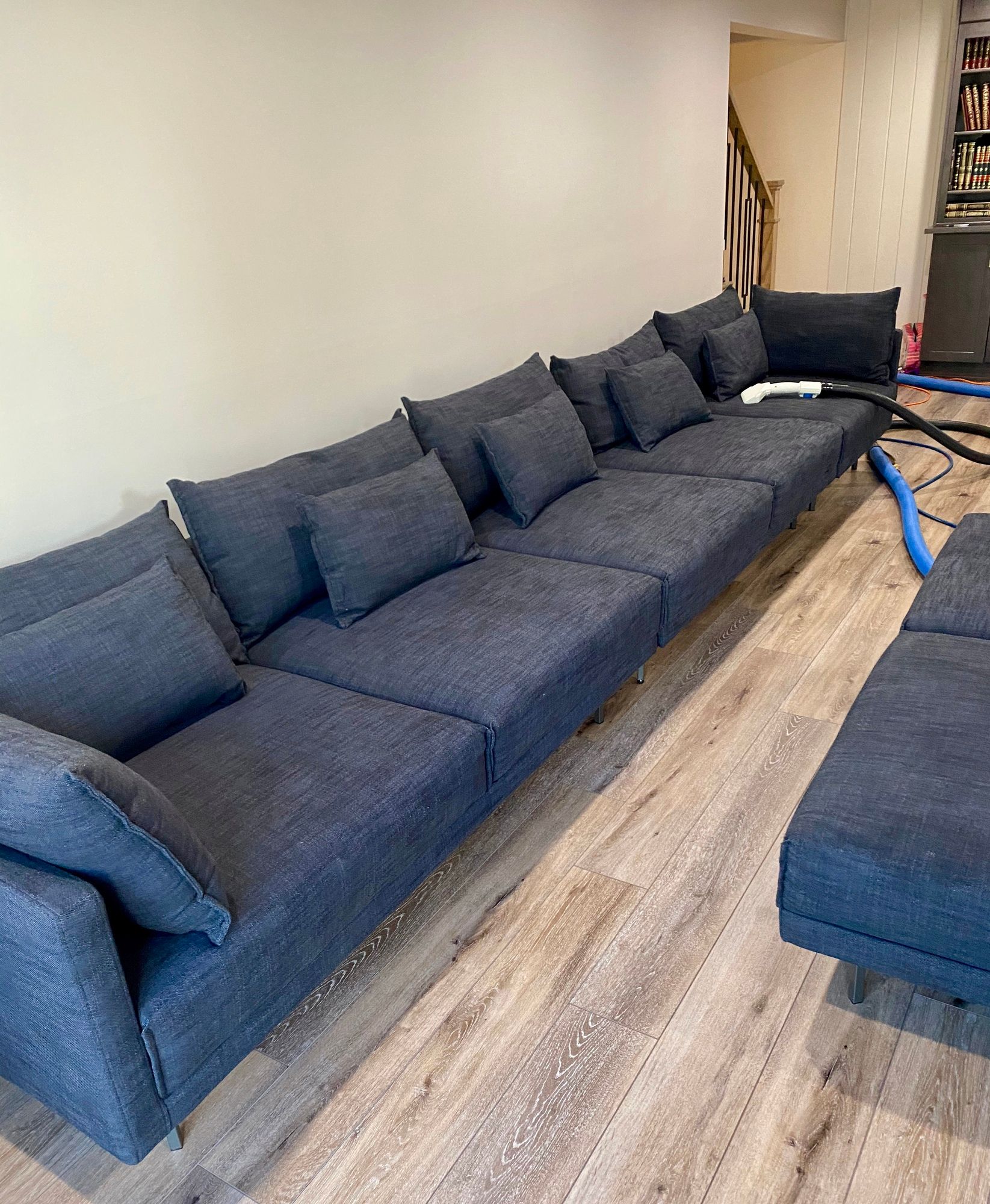 Daly Carpet Cleaning Inc Expert Cleaning Services