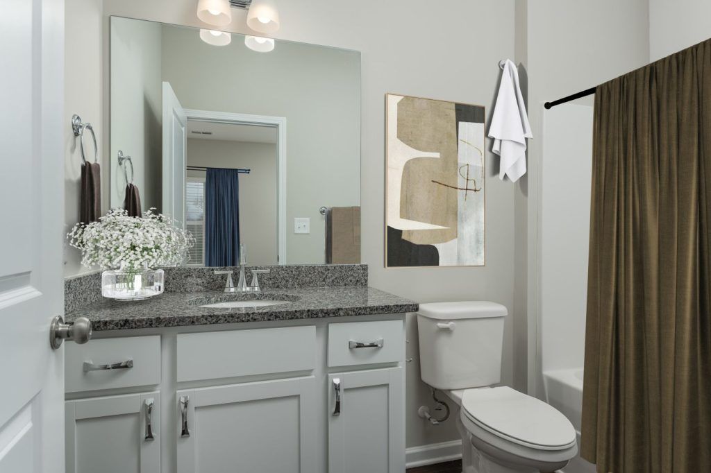 A bathroom with a toilet, sink, mirror, and shower curtain.