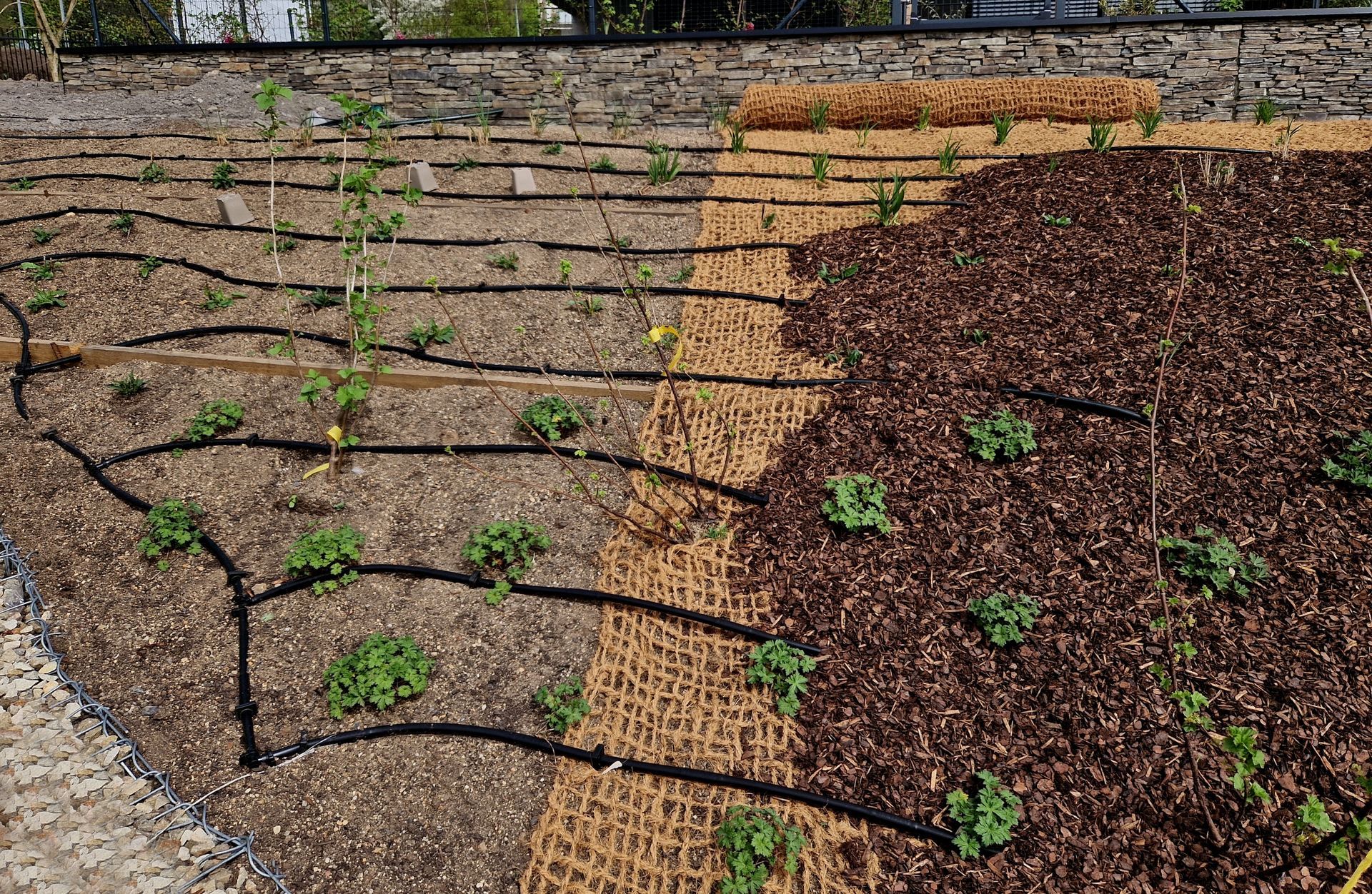 Erosion Control