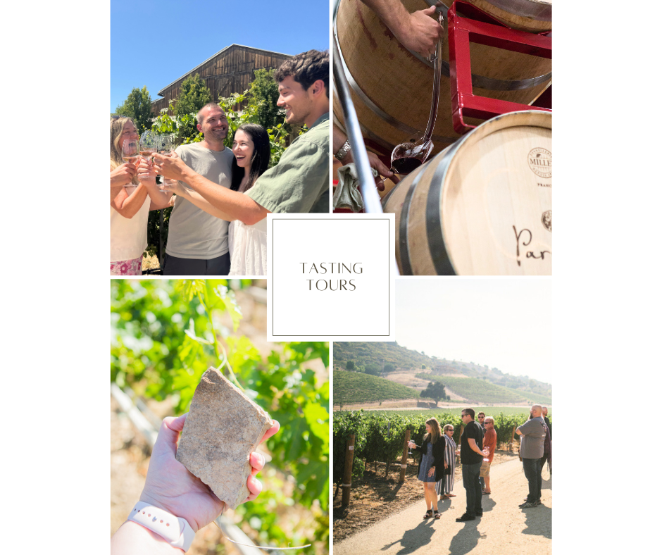 Winery tour collage with people outdoors, grapes, a wine barrel, and a vineyard landscape.