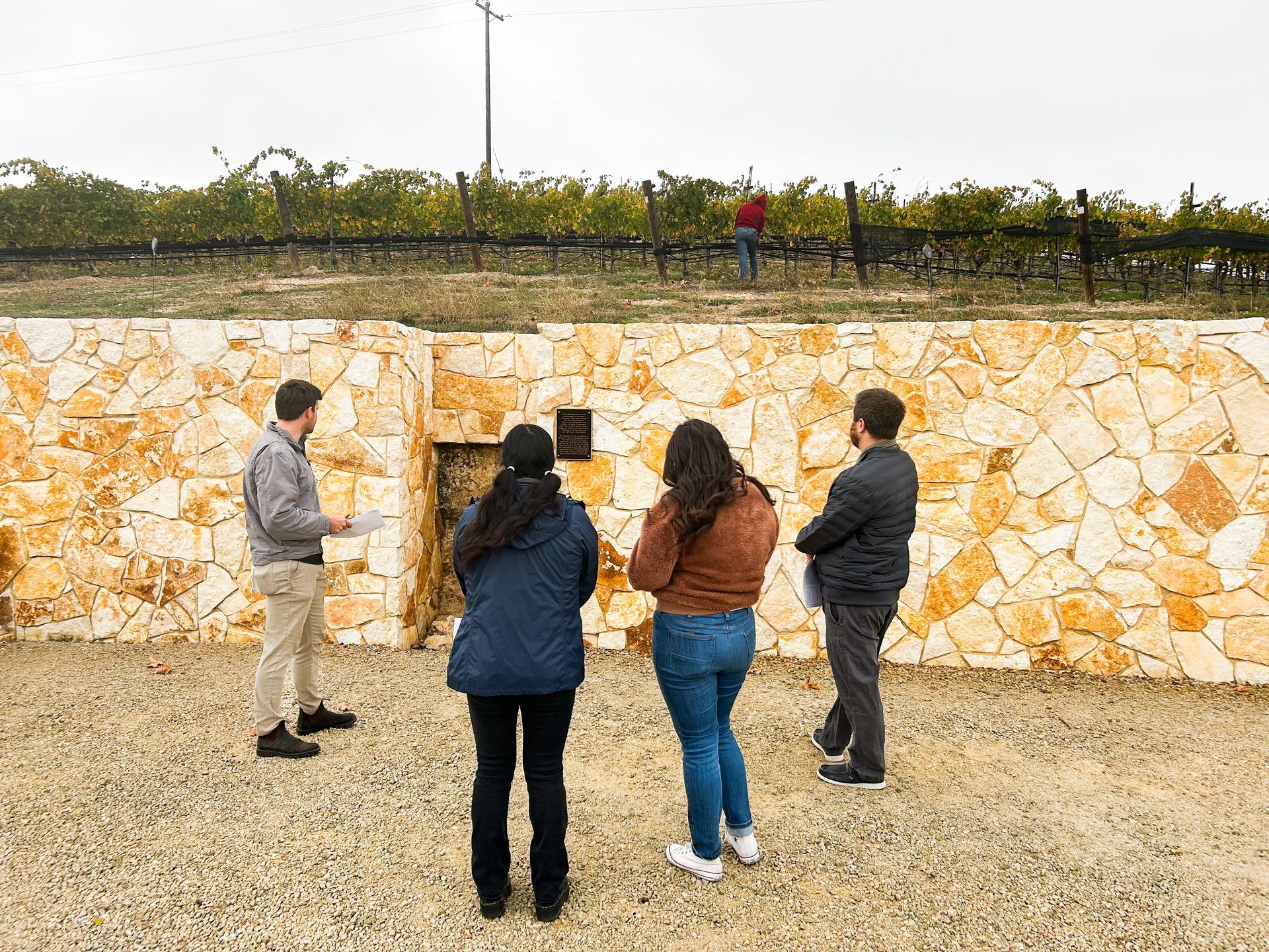 A tour of the Parrish Family Vineyard property, showing a cutout of the exposed calcareous soil from the ancient marine bed underneath the Adelaida District and Paso Robles region.