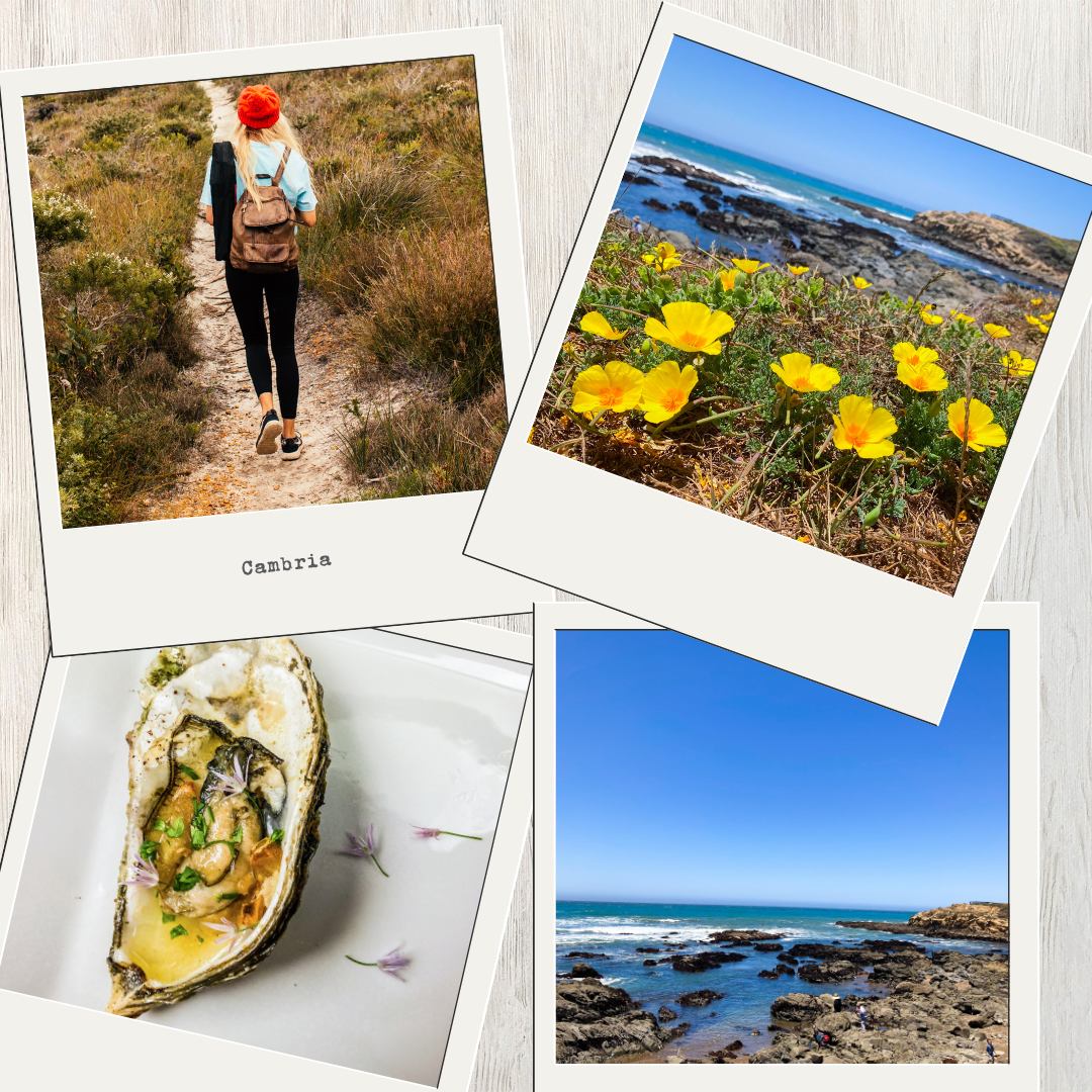 A collage of pictures including a hike, yellow flowers, and food.