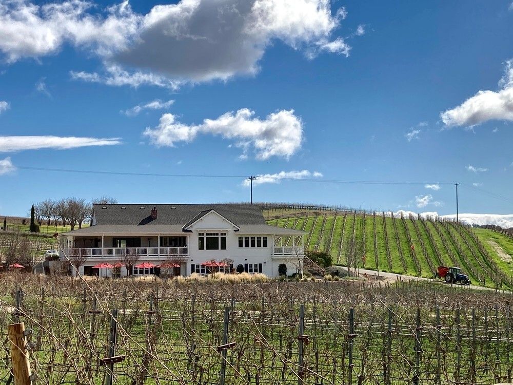 A large white house is sitting in the middle of a vineyard.