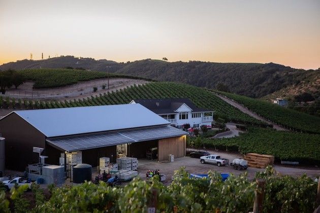 There is a large building in the middle of a vineyard.