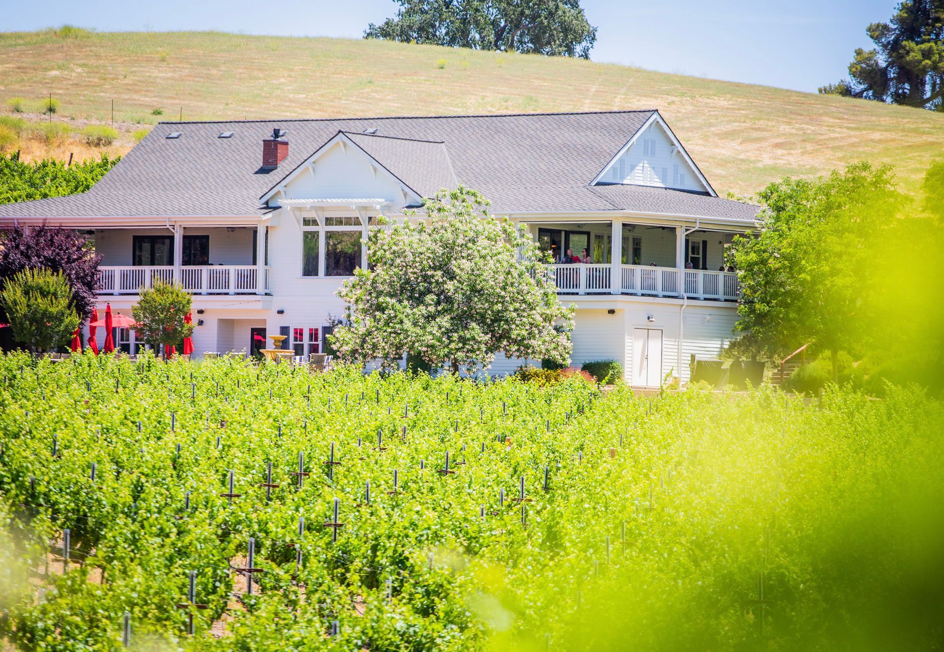 Parrish Family Vineyard's porch overlooking our Adelaida vineyard of Cabernet Sauvignon in Paso Robles Wine Country.