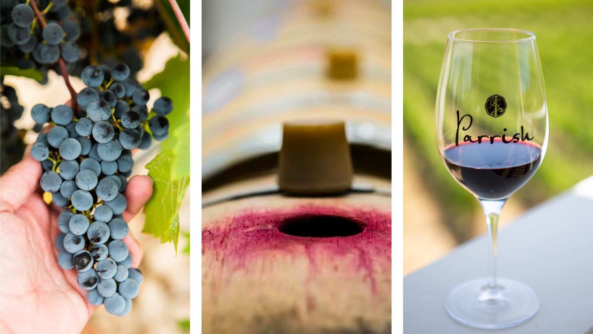 Three-panel collage of grapes being harvested, a barrel of red wine, and a wine glass with Parrish red wine.