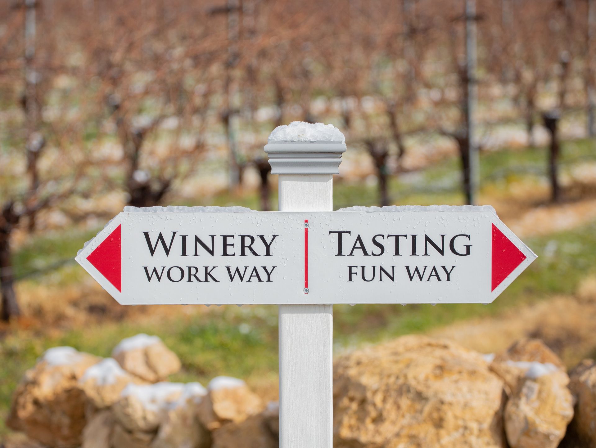 A sign that says winery work way left and tasting fun way right.