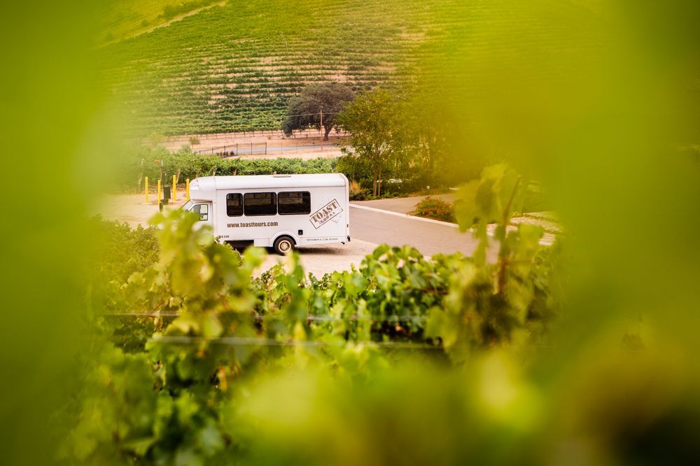 A white rv is parked next to a vineyard.