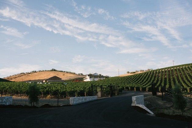 View of the hillside of the Adelaida Vineyard.