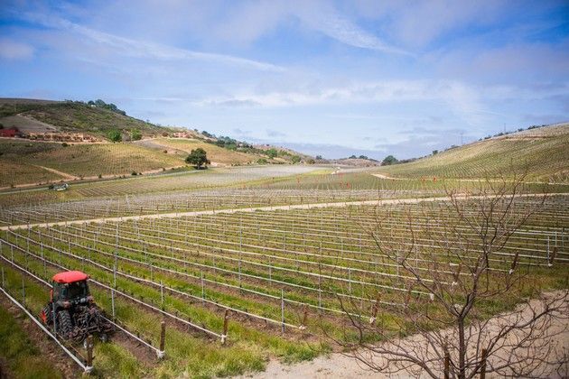 A view of the Adeilada Vineyard in Paso Robles.
