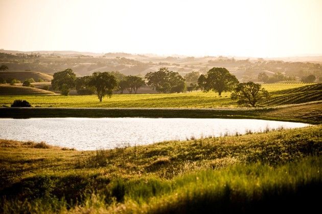 A small pond in the middle of a field with trees in the background.
