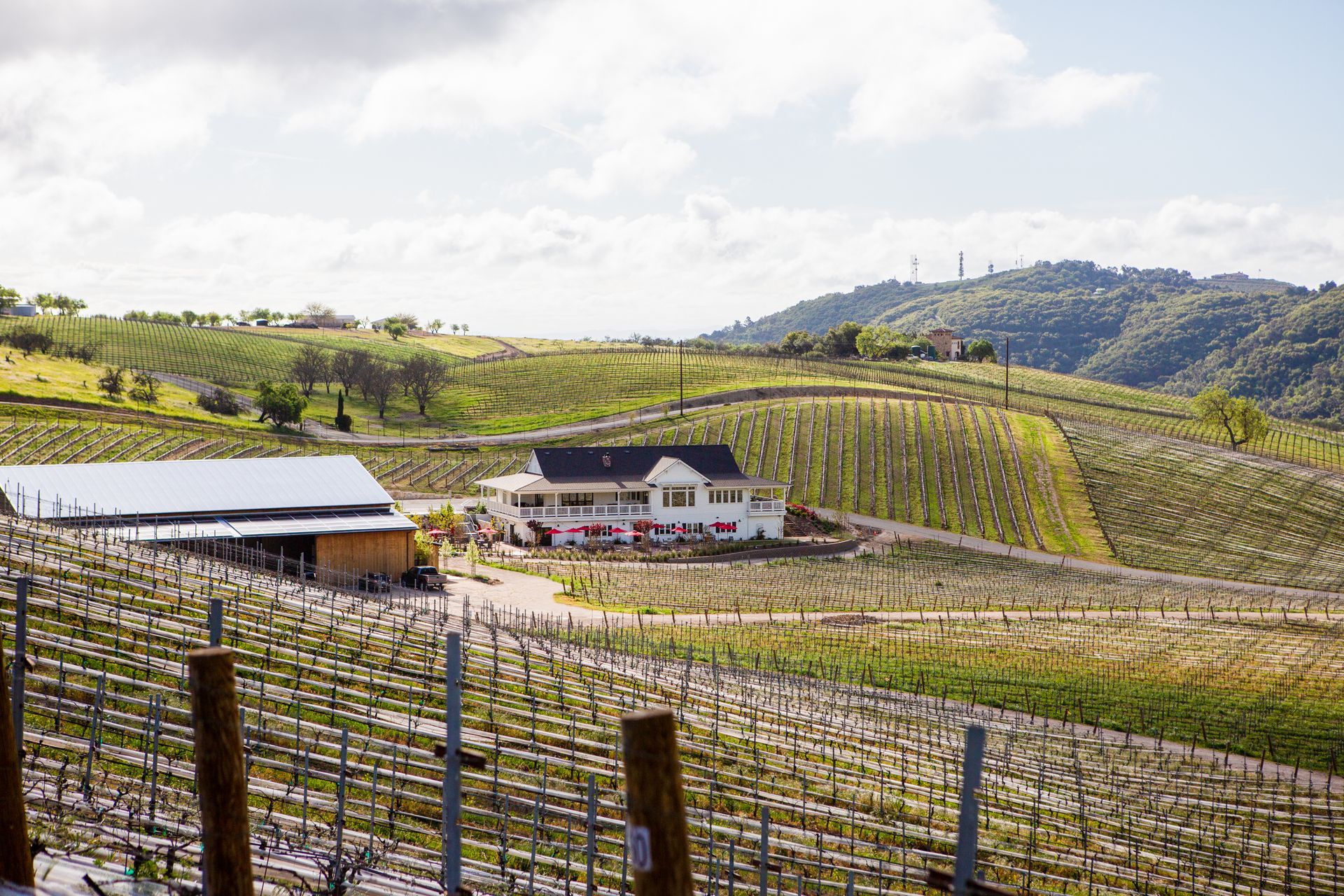 Parrish Family tasting room, a white building, in the middle of a vineyard.