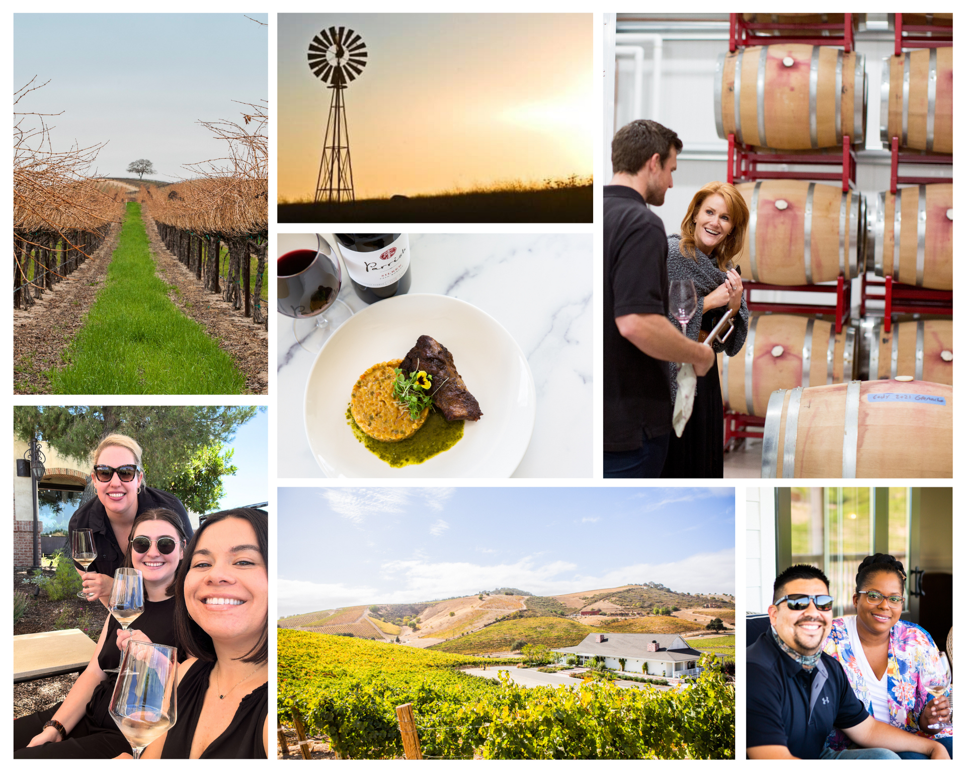 Multiple photos in one image including a view of the vineyard, people smiling tasting the wine, and food pairings.
