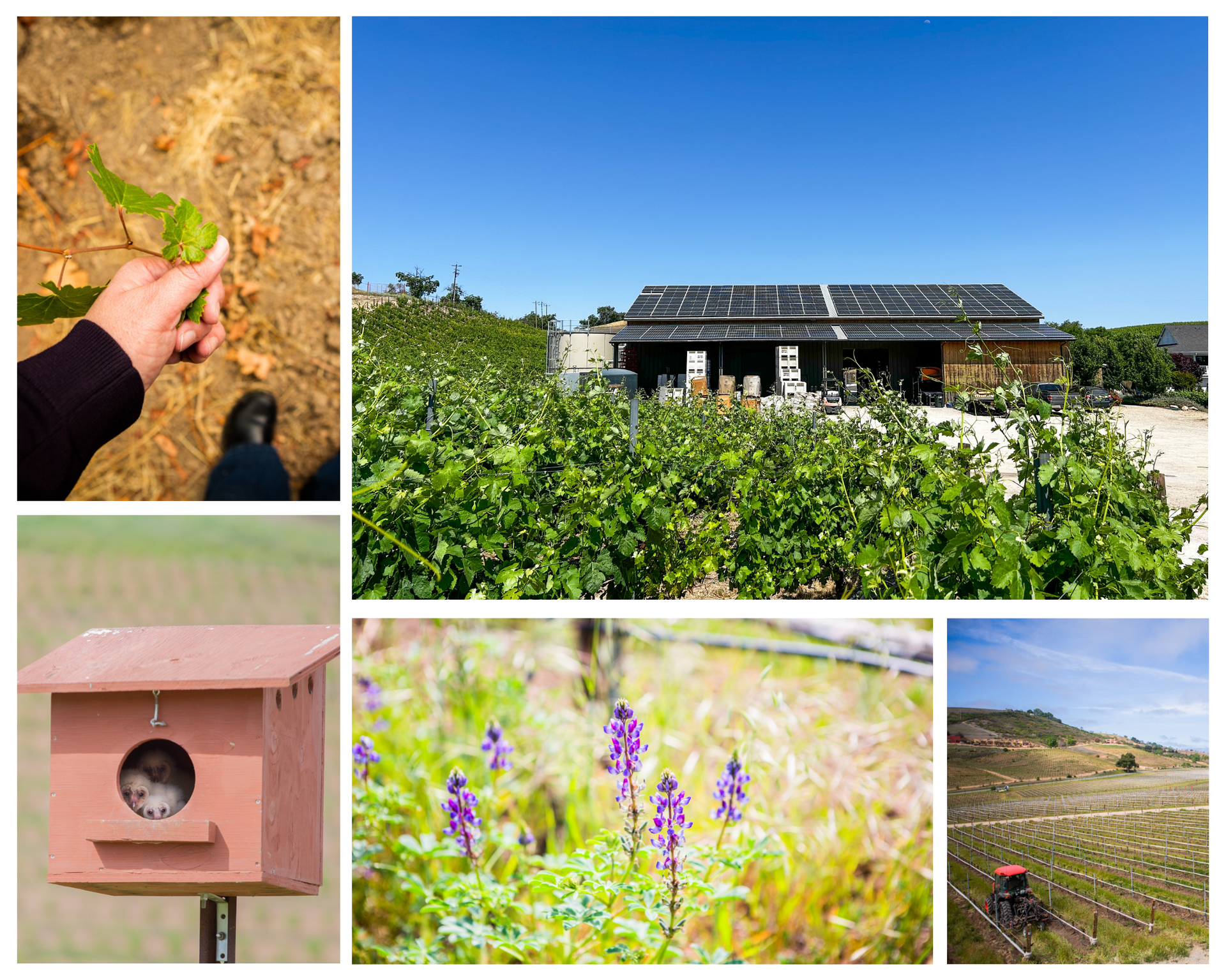 A collage of photos shows a birdhouse, a house, a field of flowers, and a tractor.
