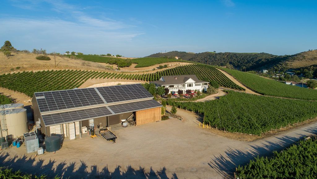 Vineyard with solar-panel roof on building and house in the background, fields of grapes, sunny day.