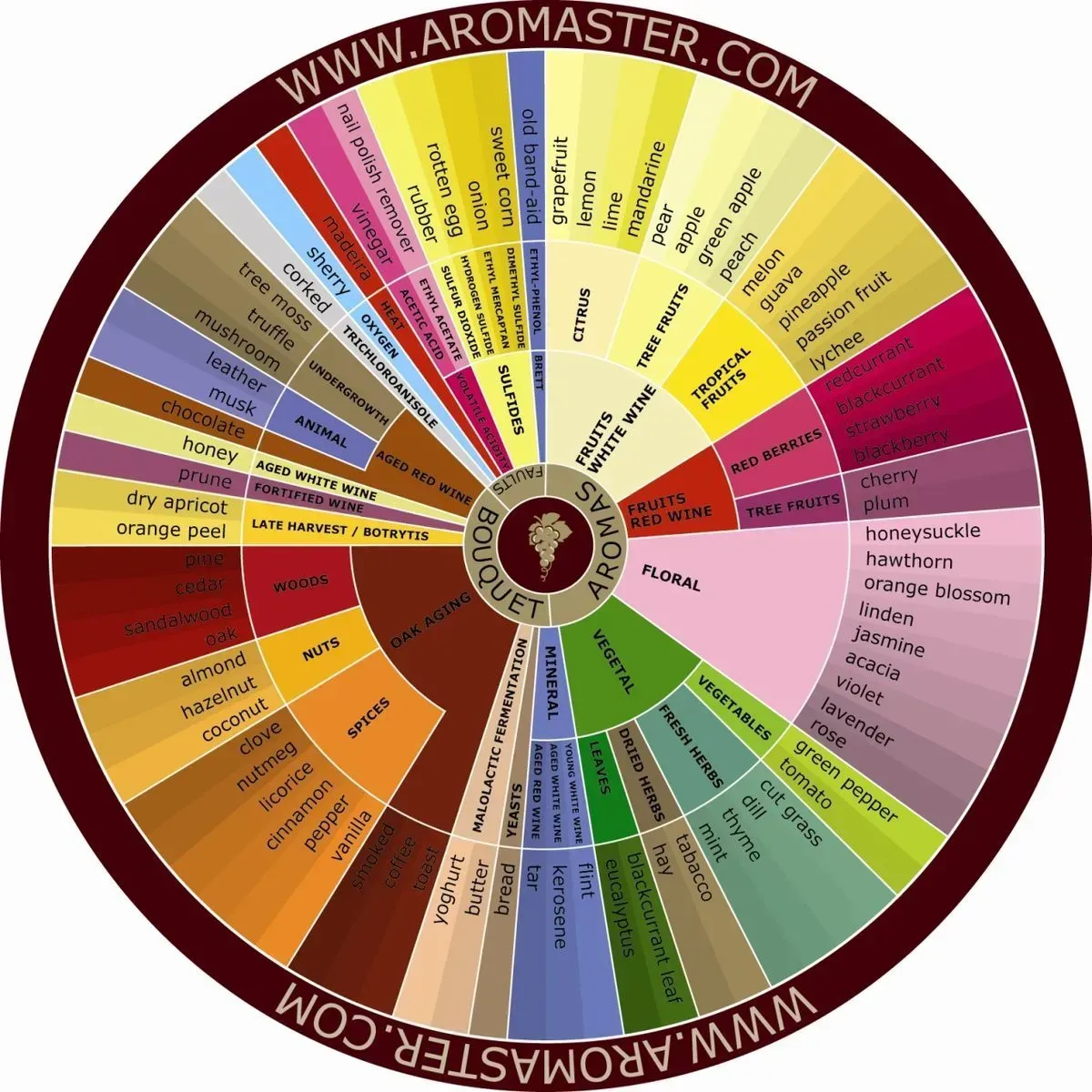 Wine aroma wheel, showing a spectrum of flavor descriptors in a circular chart.