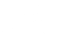A white background with a few lines on it