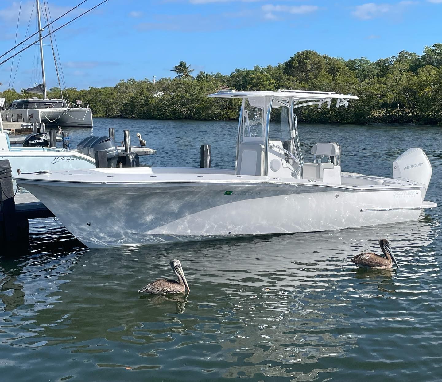 A white motorboat sits at a dock on a sunny day, with two pelicans swimming in the water nearby.
