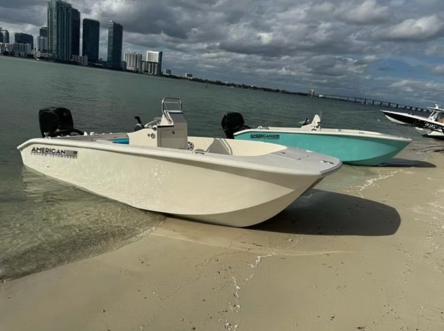 Two boats beached on a sandy shore with a city skyline and cloudy sky in the background.