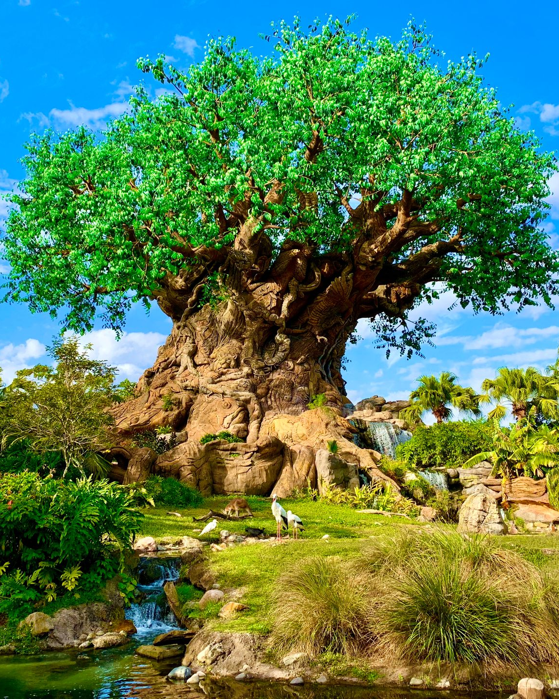 Tree of Life