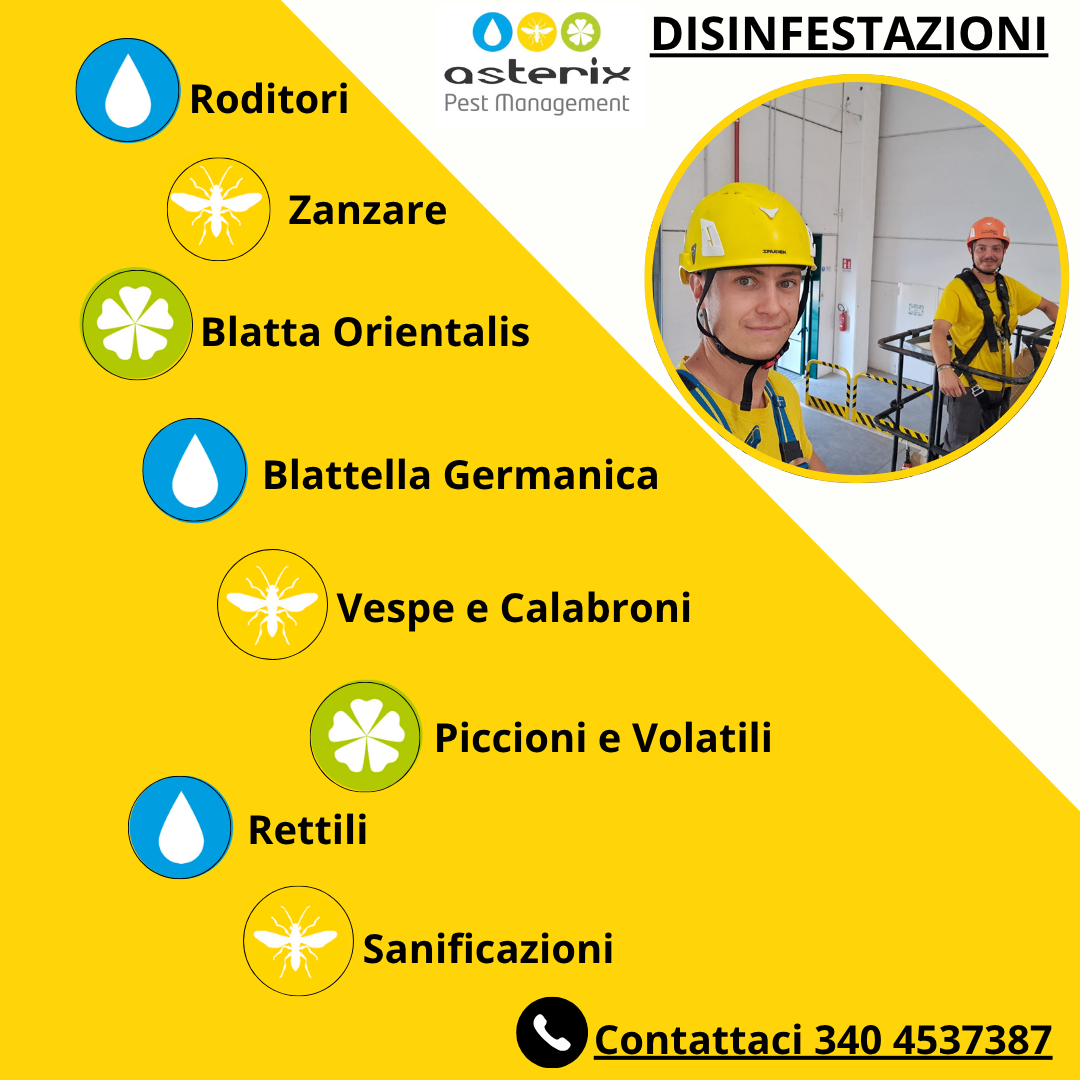 Pulizia ufficio