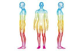 Health Scan