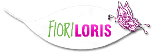 LORIS FIORI - LOGO