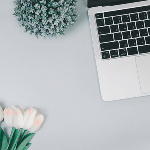 Top-down view of a laptop corner, small white flowers, and a potted plant on a light desk