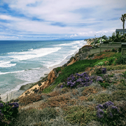 Cliffside coastal view with waves, blue sky, and purple wildflowers along a shoreline path