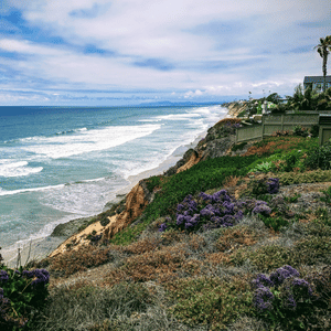 Cliffside coastal view with waves, blue sky, and purple wildflowers along a shoreline path