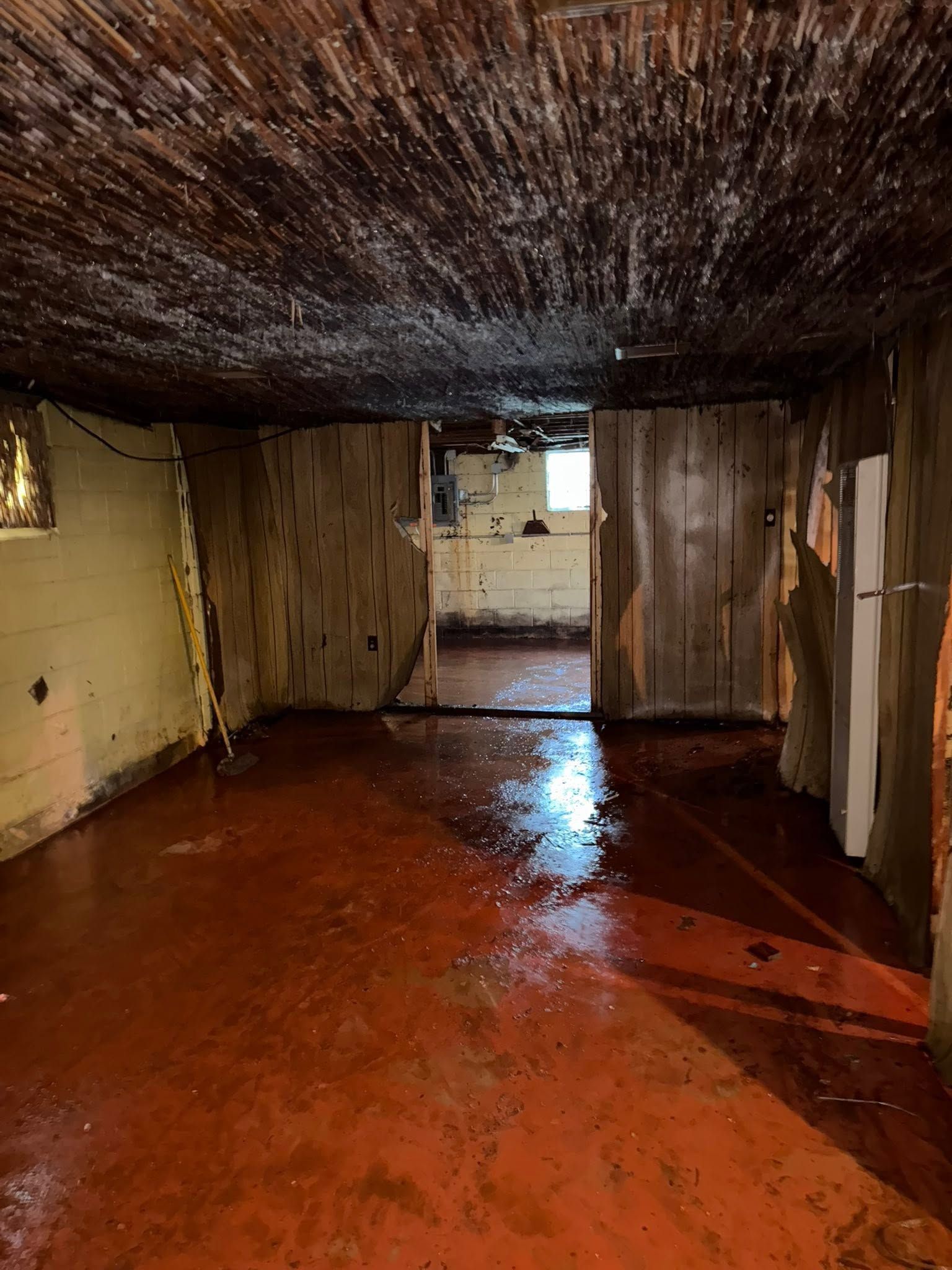 Water-damaged room with stained ceiling, wet red floor, and peeling walls.