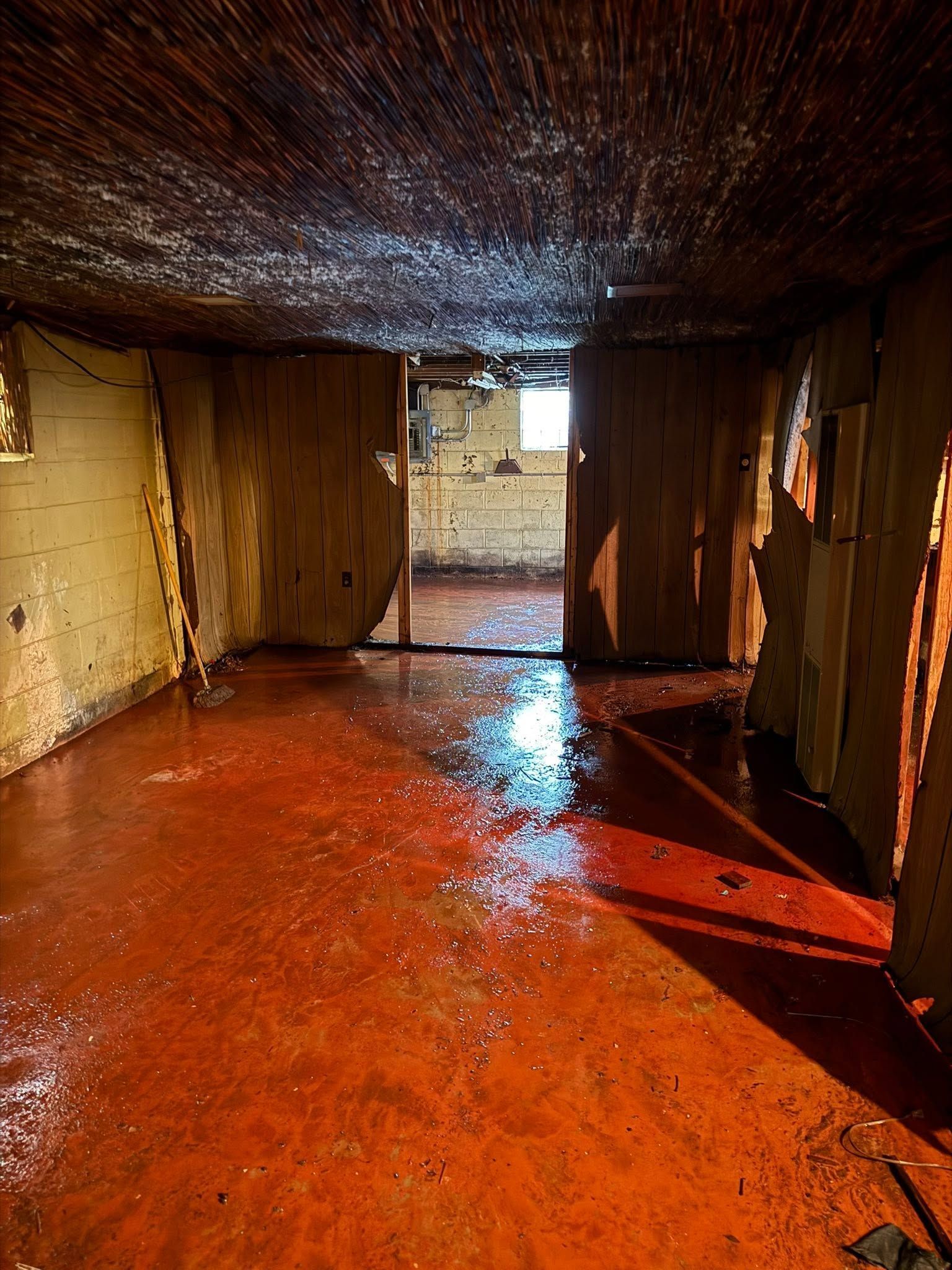Flooded room with red floor, wet ceiling, and an open doorway to bright light