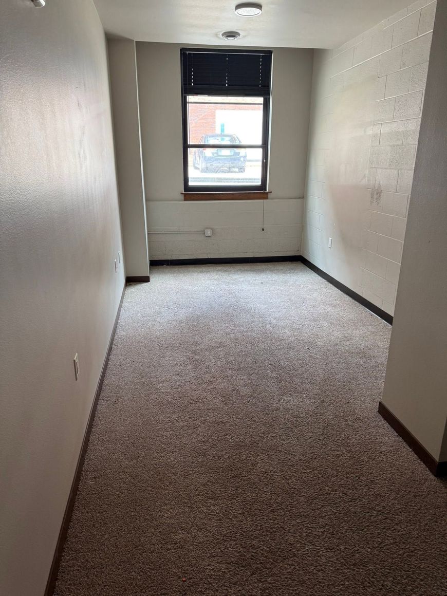 Narrow empty hallway with beige carpet, white walls, and a window at the far end.