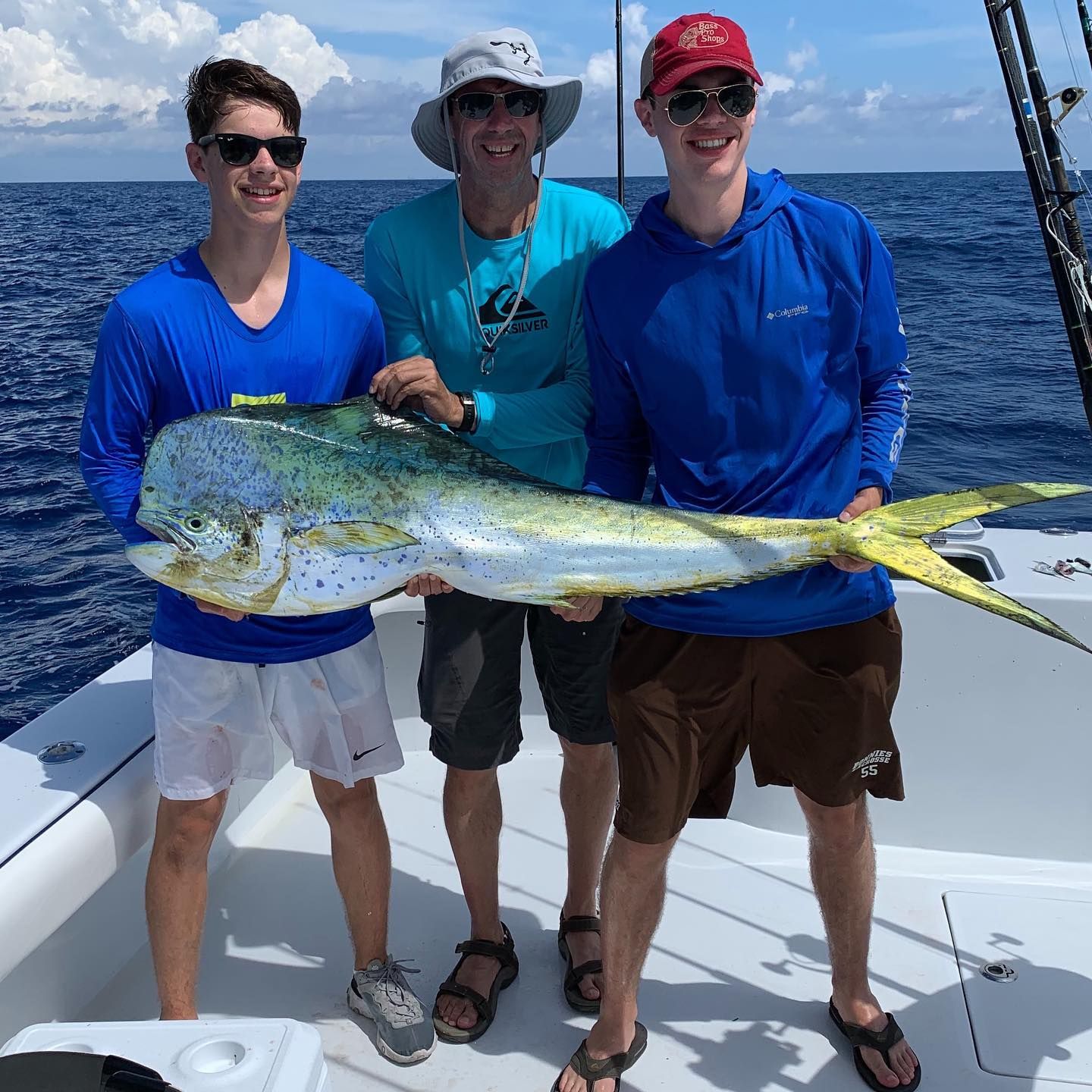 Fish Miami