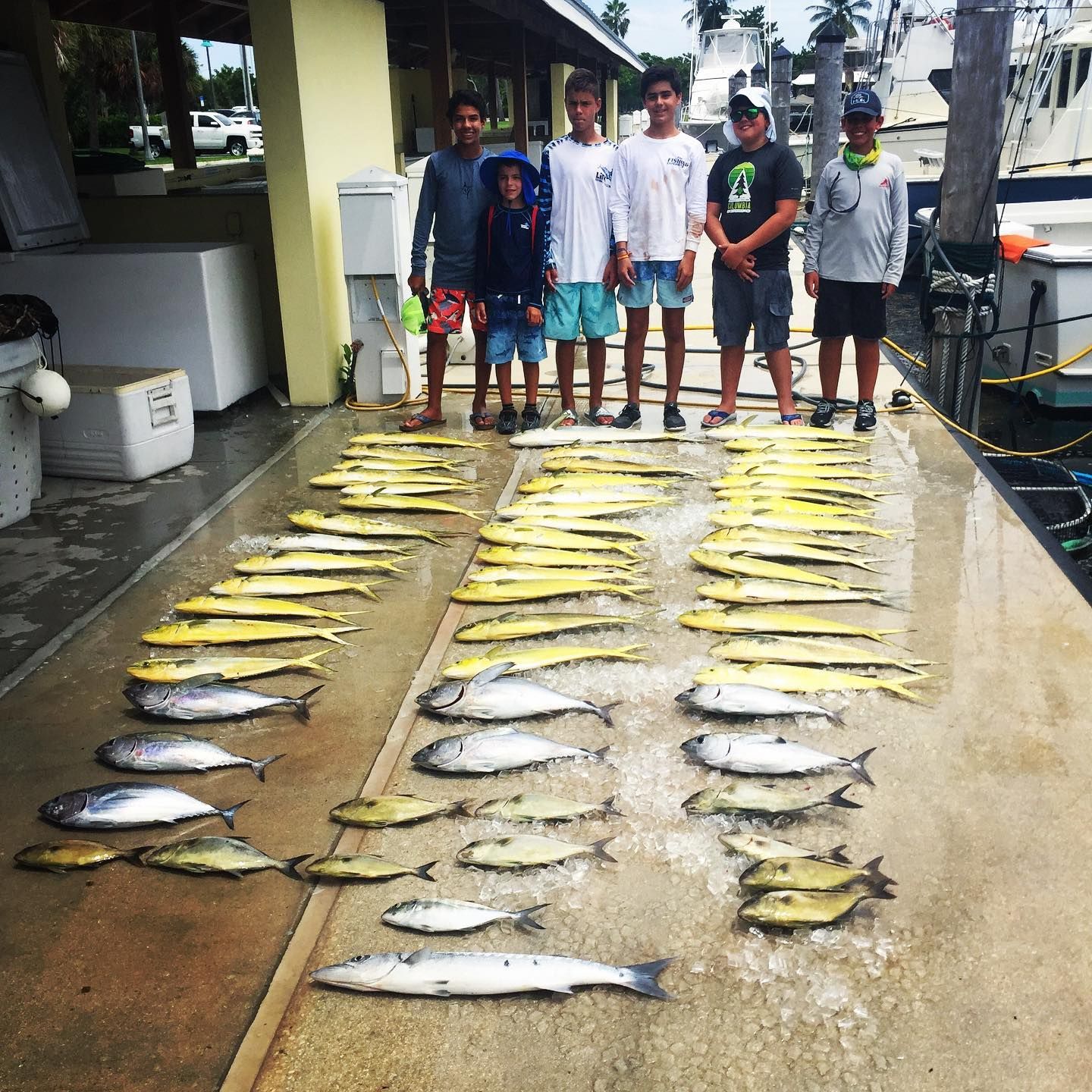 Fish Miami 4