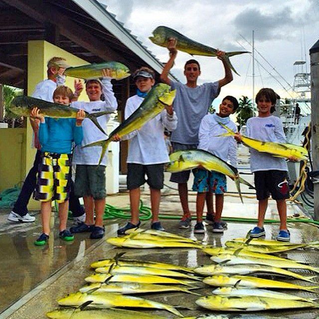 Group of people holding up caught mahi-mahi fish at a dock, fish lined up on the ground.