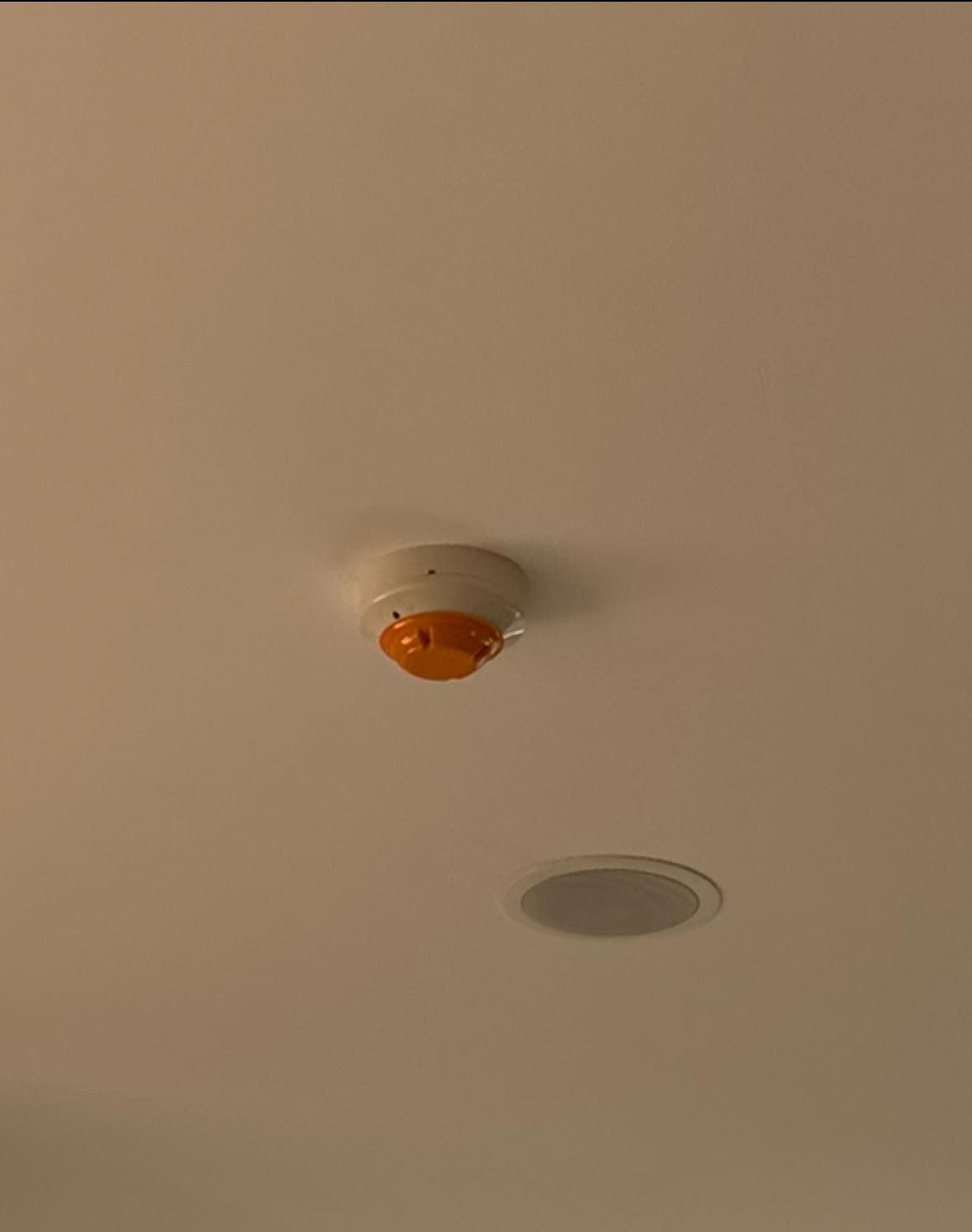 Ceiling-mounted Smoke Detector With an Orange Cover — CSET Group Fire & Security in Lake Macquarie, NSW