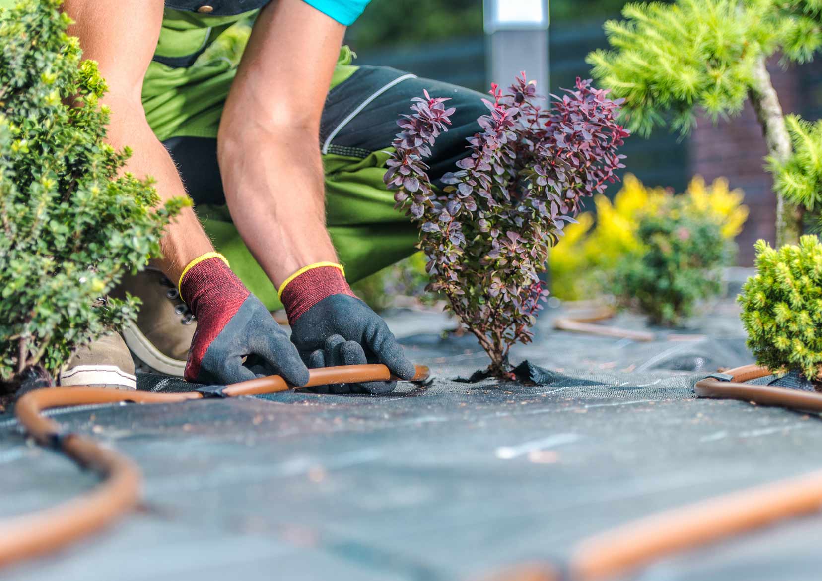 Installing Drainage System — Houston, TX — OCL Irrigation Installing Drainage System — Houston, TX — OCL Irrigation