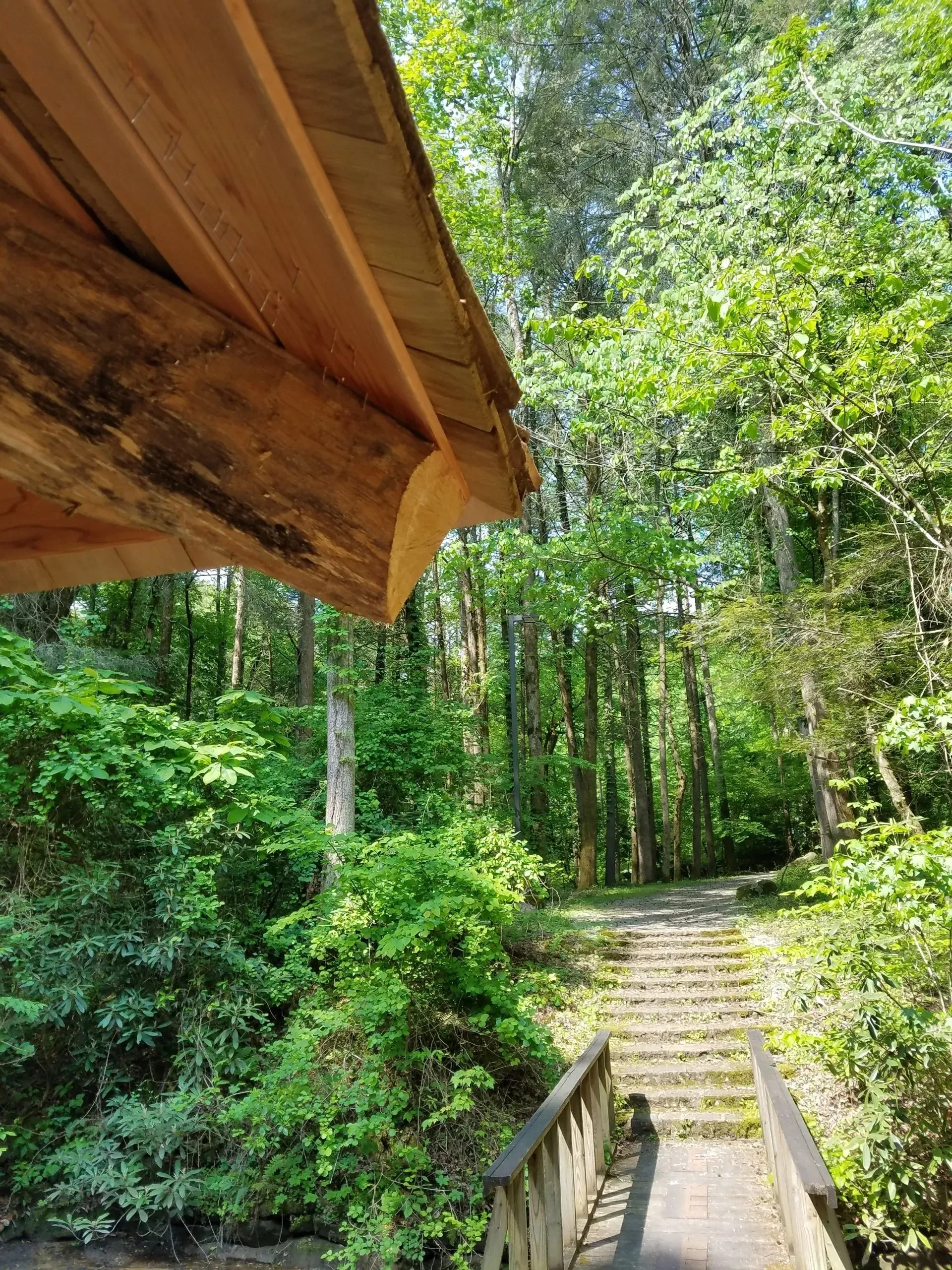 A wooden bridge in the middle of a forest surrounded by trees.