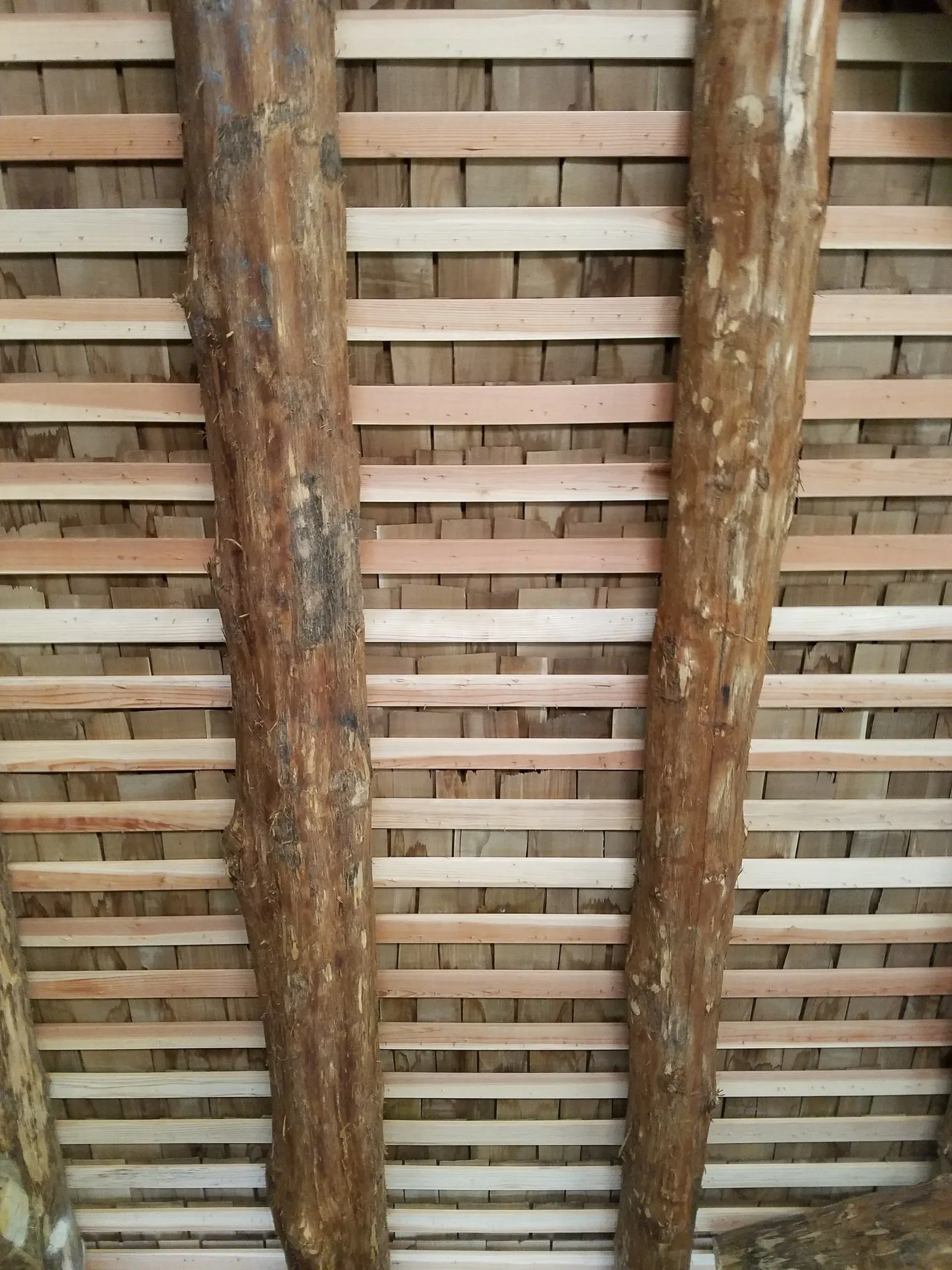 A close up of a wooden ceiling with wooden beams.