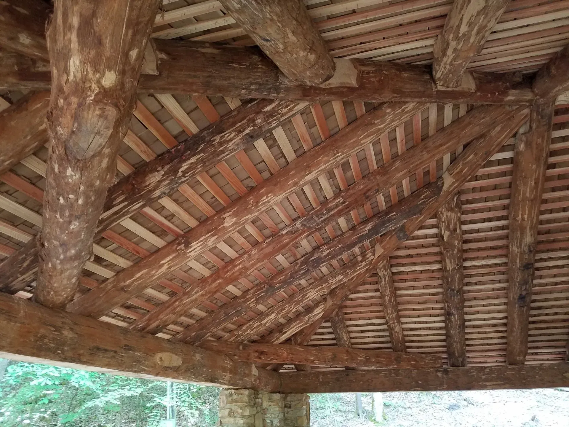 A close up of the ceiling of a wooden structure.