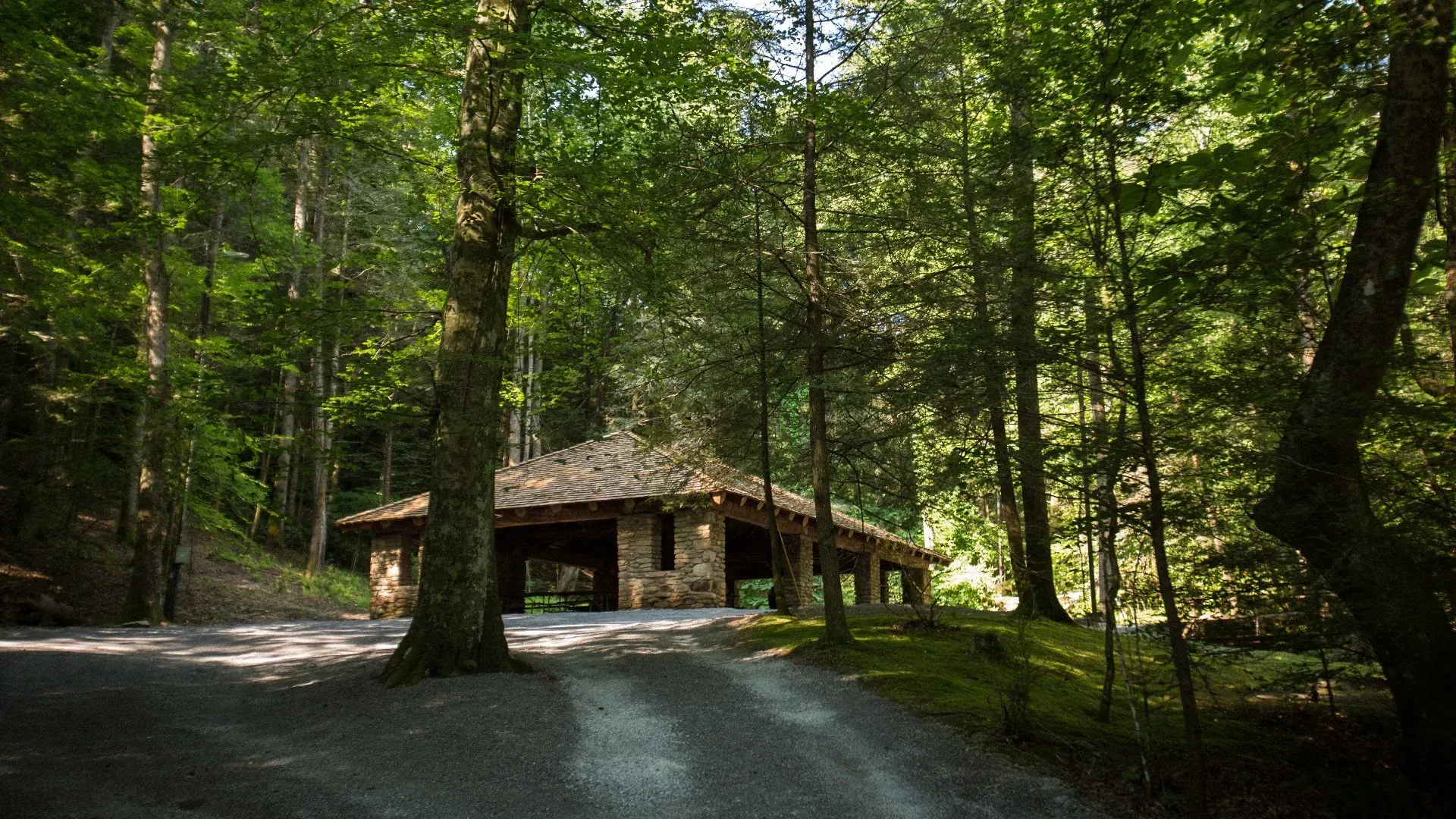 A stone building in the middle of a forest surrounded by trees.
