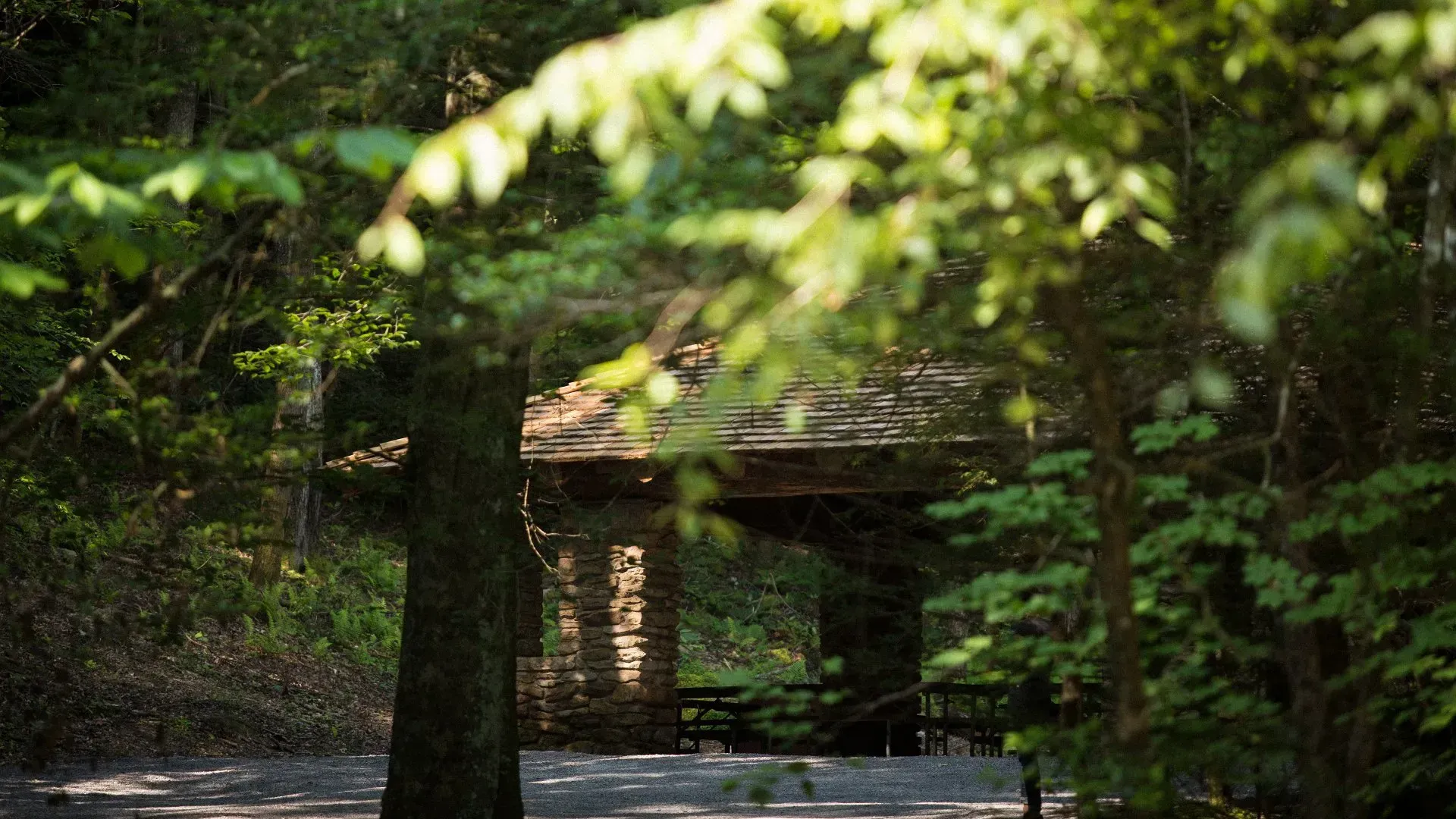 A wooden structure in the middle of a forest surrounded by trees.
