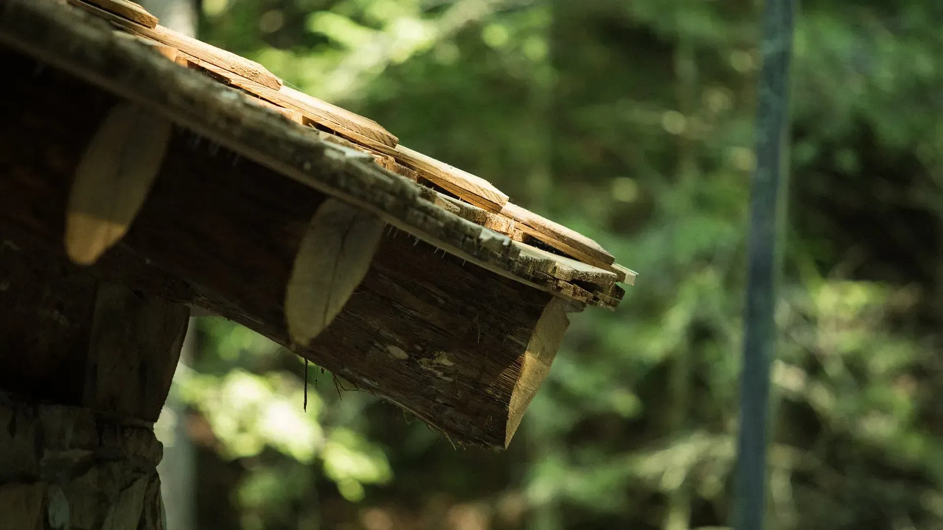A close up of a wooden roof with a blurred background of trees.