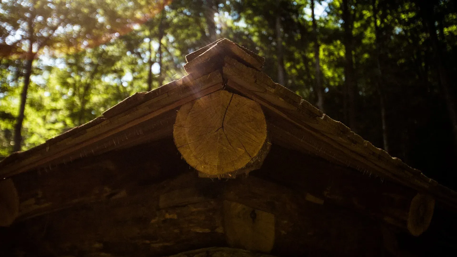 The sun is shining through the trees on the roof of a log cabin.