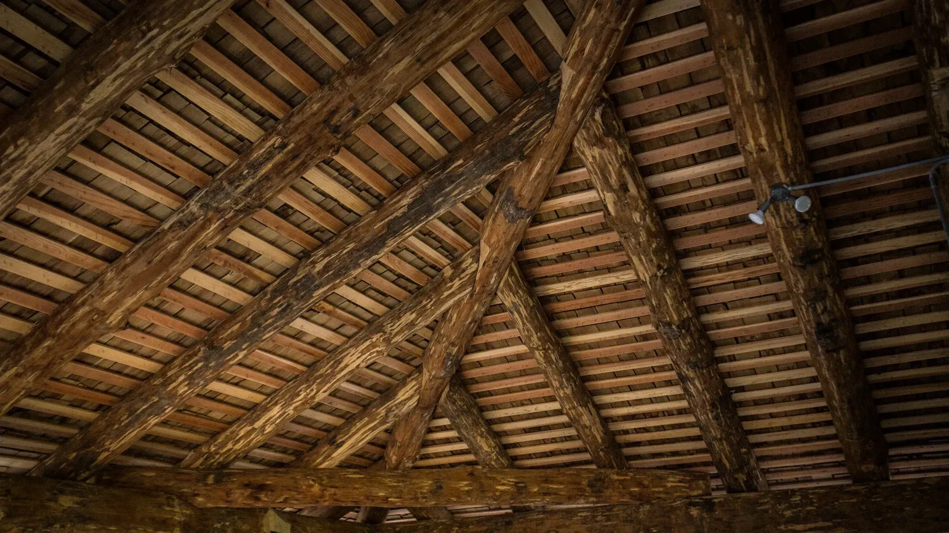 A close up of a wooden ceiling in a building.