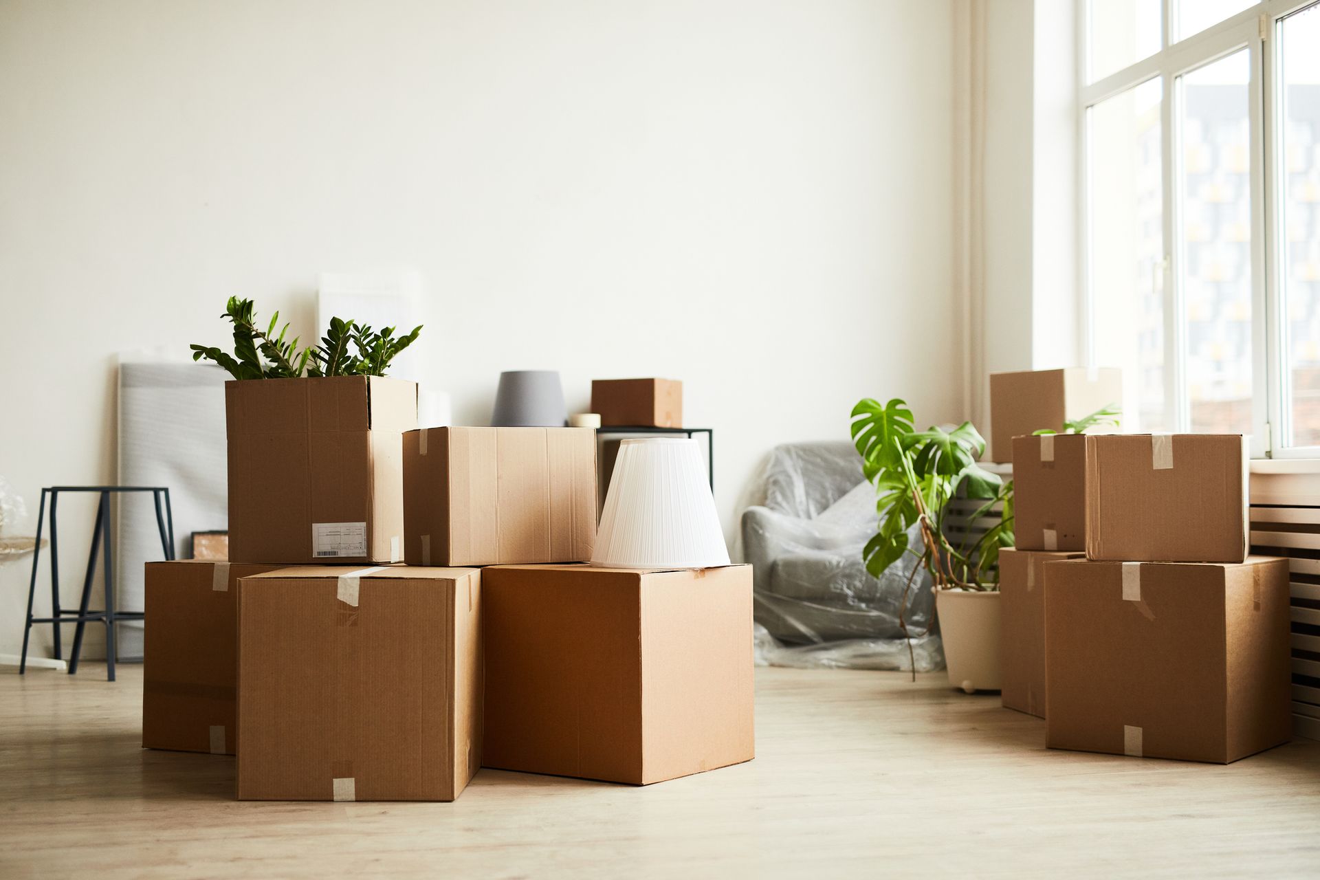 Cardboard boxes stacked in a room with a large window, plants, and covered furniture.